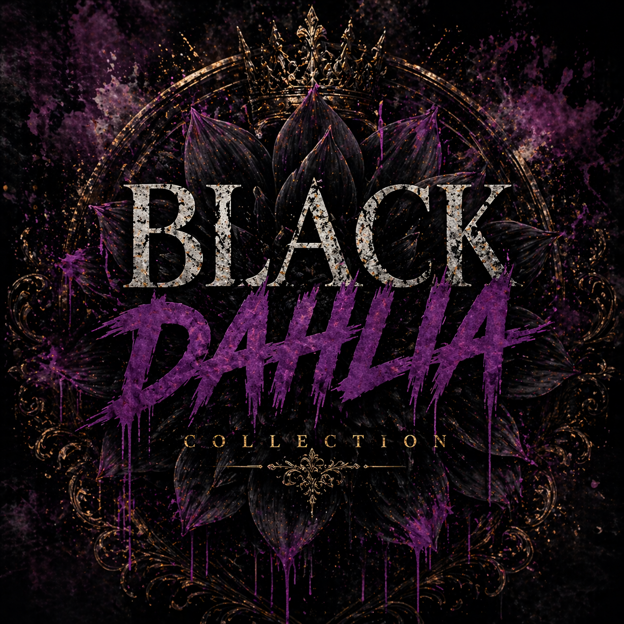 BLACK DAHLIA – Schönheit im Verborgenen.