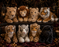 LITTLE RITUALS: Die Herrscher deiner Zuflucht