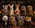 LITTLE RITUALS: Die Exoten der Nacht